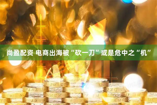尚盈配资 电商出海被“砍一刀”或是危中之“机”